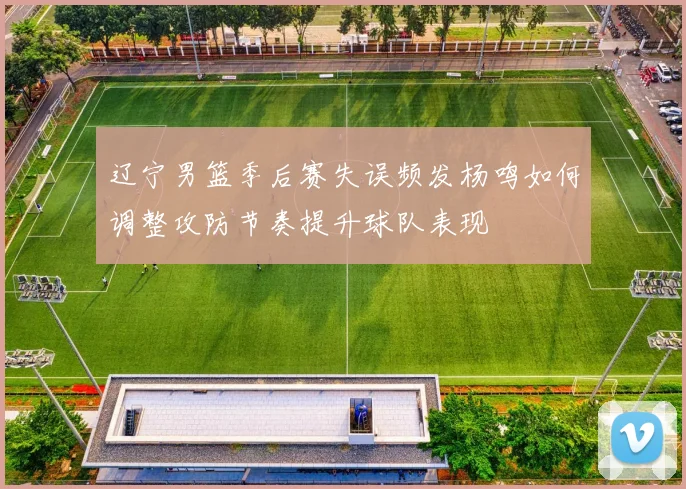 辽宁男篮季后赛失误频发杨鸣如何调整攻防节奏提升球队表现